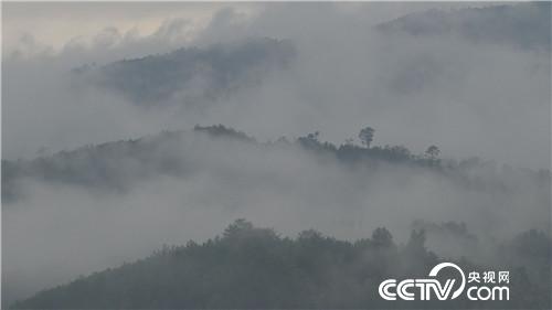 一个腼腆男人的千万财富