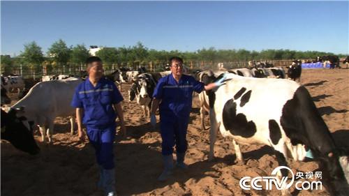 赤脚踏平&ldquo;火焰山&rdquo;　沙中掘出亿万财