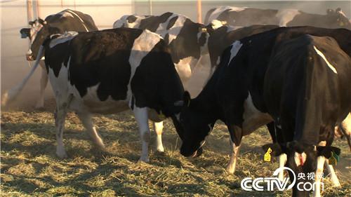 赤脚踏平&ldquo;火焰山&rdquo;　沙中掘出亿万财