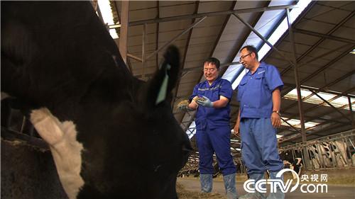 赤脚踏平&ldquo;火焰山&rdquo;　沙中掘出亿万财