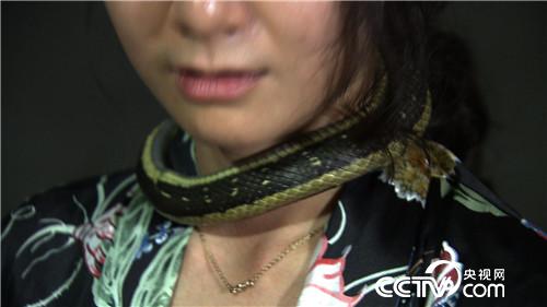 女财迷蛇窝掏金