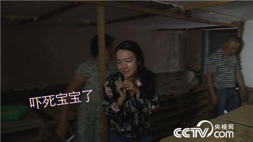 女财迷蛇窝掏金