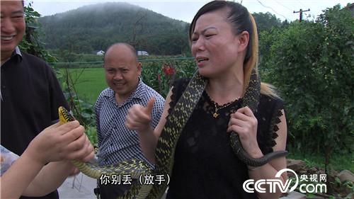 女财迷蛇窝掏金