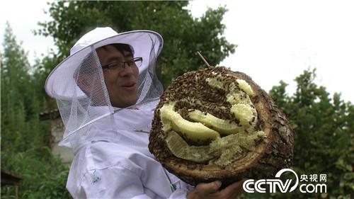 山东小伙儿追寻千里之外的财富