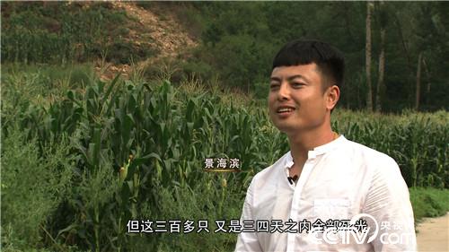 智斗&ldquo;小可爱&rdquo; 年入千万财