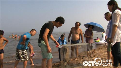 智斗&ldquo;小可爱&rdquo; 年入千万财