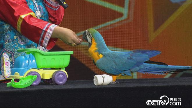 阳光大道：为你点赞 9月4日