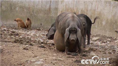 90后小伙3年从负翁到富翁