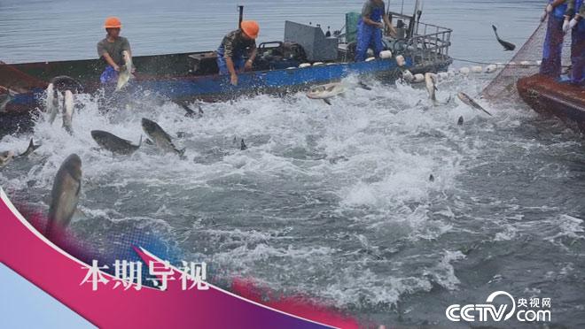 食尚大转盘：奇葩捕鱼创意烧 9月18日