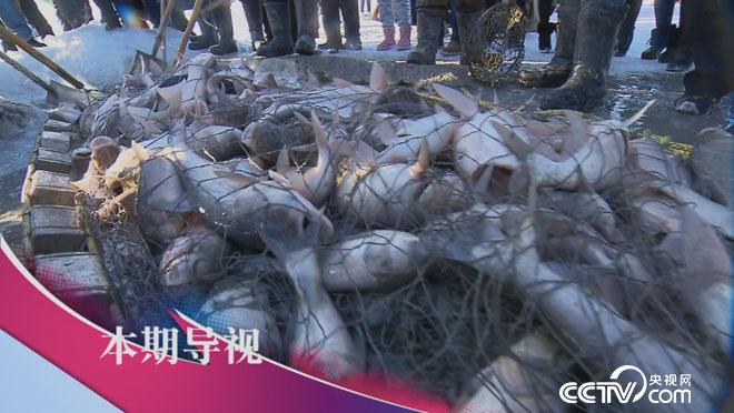 食尚大转盘：奇葩捕鱼创意烧 9月18日