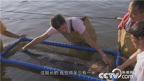 一个台湾商人不能说的千万财富秘密