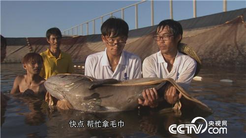 一个台湾商人不能说的千万财富秘密