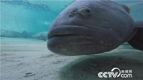 一个台湾商人不能说的千万财富秘密