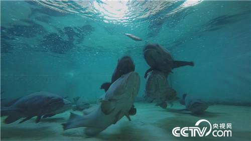 一个台湾商人不能说的千万财富秘密