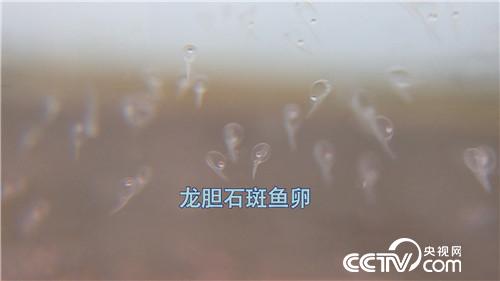 一个台湾商人不能说的千万财富秘密