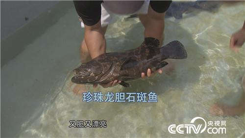 一个台湾商人不能说的千万财富秘密