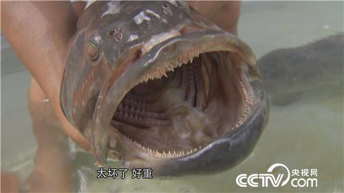 一个台湾商人不能说的千万财富秘密