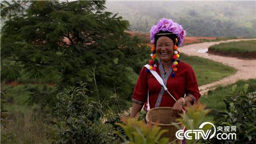 六头小猪如何变出千万财富