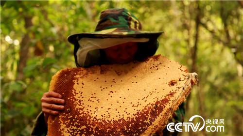 六头小猪如何变出千万财富