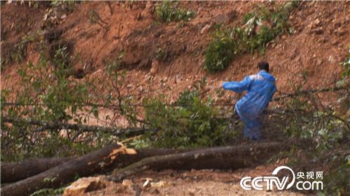 六头小猪如何变出千万财富