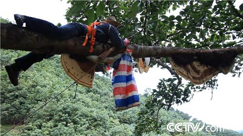 六头小猪如何变出千万财富