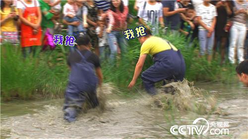 免费让人玩 玩出3000万