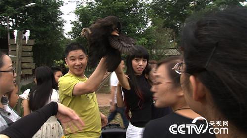 免费让人玩 玩出3000万