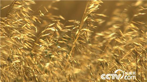 赔光6000万之后靠一张照片翻身