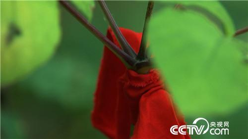 赚钱定要找到它