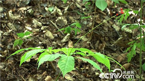 赚钱定要找到它