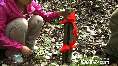 赚钱定要找到它