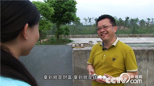 曹大胆儿和他的&ldquo;娃娃鱼+&rdquo;财富秘笈