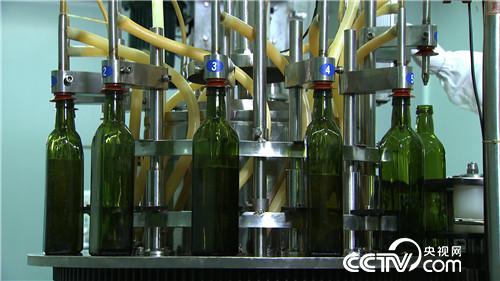 油变奶带来财富