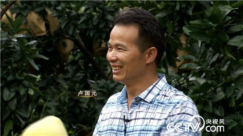 致富经：血色柚惑带来的财富 10月31日