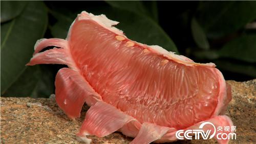 致富经：血色柚惑带来的财富 10月31日