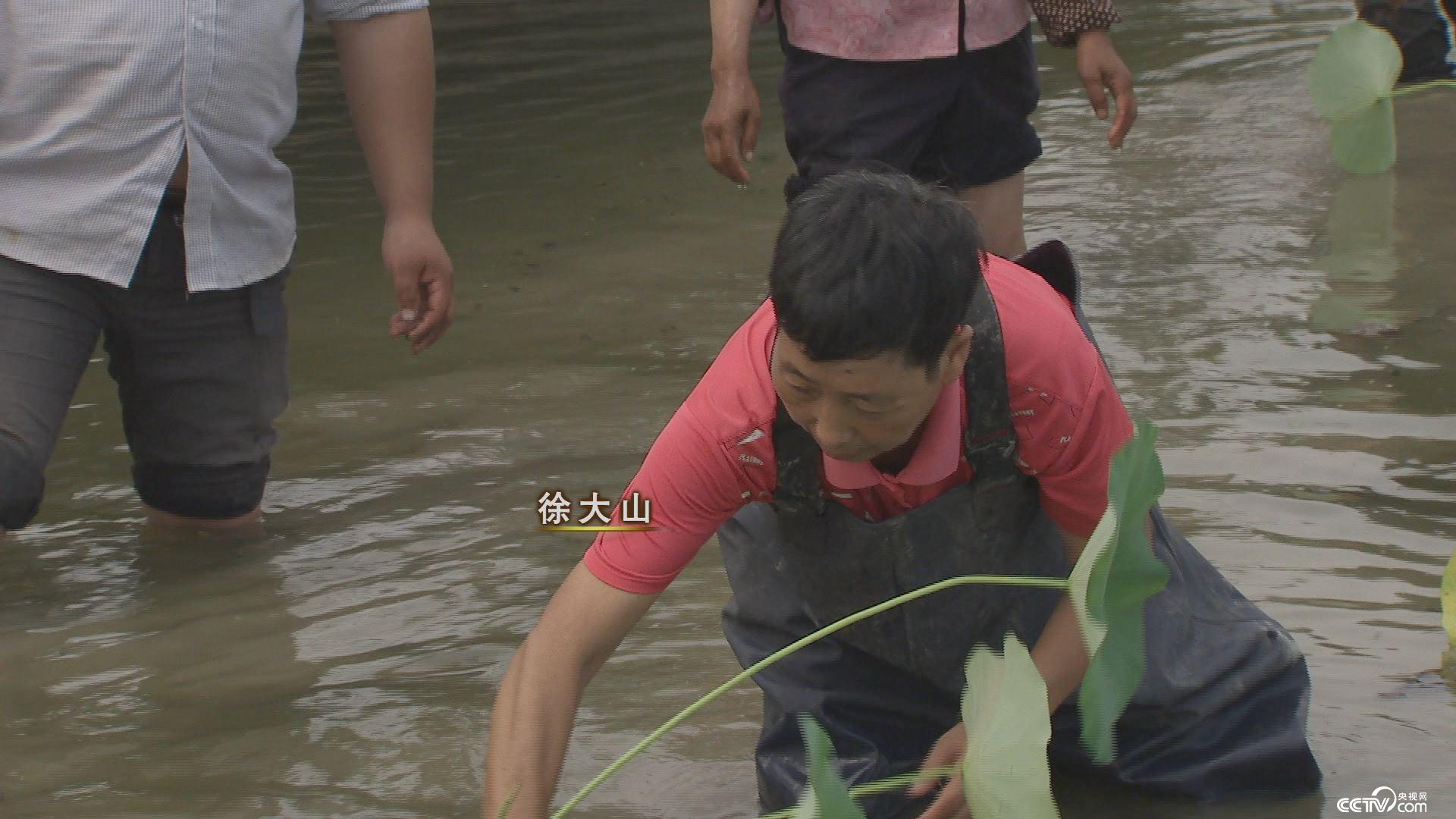 致富经：六旬女汉子发现新商机之后 11月7日