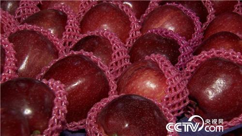 换个地方卖苹果 如何多卖三倍价