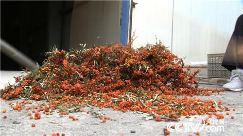 十万元到一亿元 从难摘的果子开始