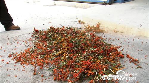 十万元到一亿元 从难摘的果子开始