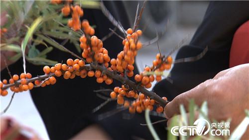 十万元到一亿元 从难摘的果子开始