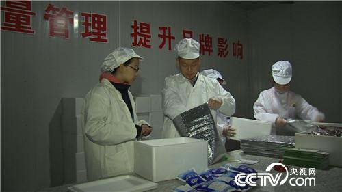 市场低迷 他靠神奇树叶让羊价翻两倍(2016.11.22)