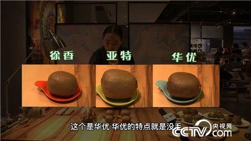 网络主播年赚300万元的背后(2016.12.06)