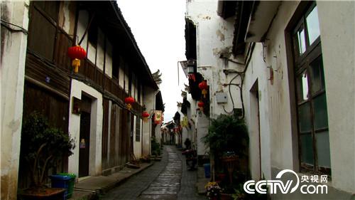 飞行员恋上熊猫猪(2016.12.14)