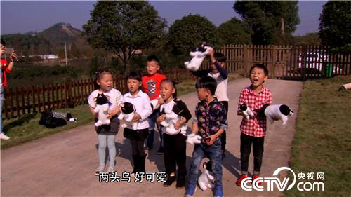 飞行员恋上熊猫猪(2016.12.14)