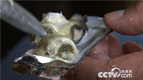 赚钱全靠一种水(2016.12.15)