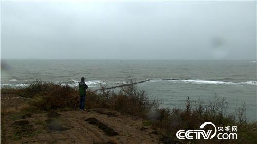 赚钱全靠一种水(2016.12.15)