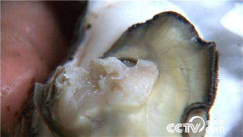 赚钱全靠一种水(2016.12.15)