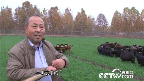 致富经：挣钱就靠黑家伙 12月19日