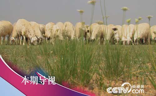 食尚大转盘：火锅来啦 12月18日