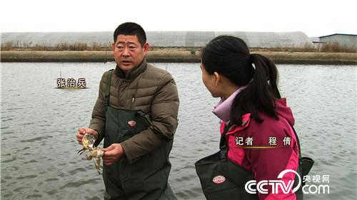 致富经：螃蟹进棚 凭啥3个月净赚500多万元 12月20日